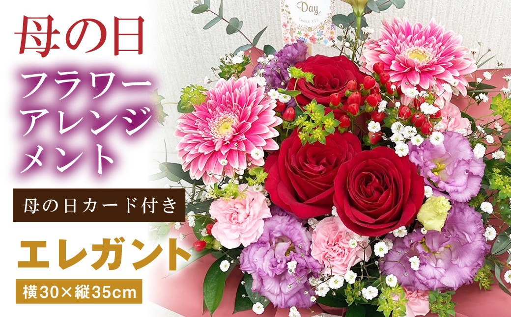 
                  母の日 フラワーアレンジメント【エレガント】【2026年5月8日出荷】｜ 花 お花 生花 フラワーギフト カーネーション ガーベラ かすみ草 レースフラワー
                