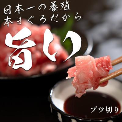 ふるさと納税 大月町 【高知県産 養殖本マグロ】ブツ切り600g マグロ丼 黒潮本まぐろ 小分け柵 急速冷凍 最優秀賞受賞 |  | 01
