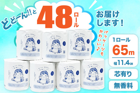 《定期便2ヶ月》【利府町オリジナル】トイレットペーパー（ロール数48個×2回）