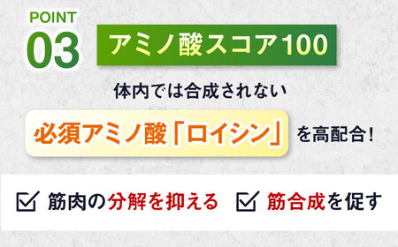 プロテイン【アルプロン】 IZMO BULK UP WHEY PROTEIN MAX ビターショコラ 900g ホエイプロテイン [AIAL020]