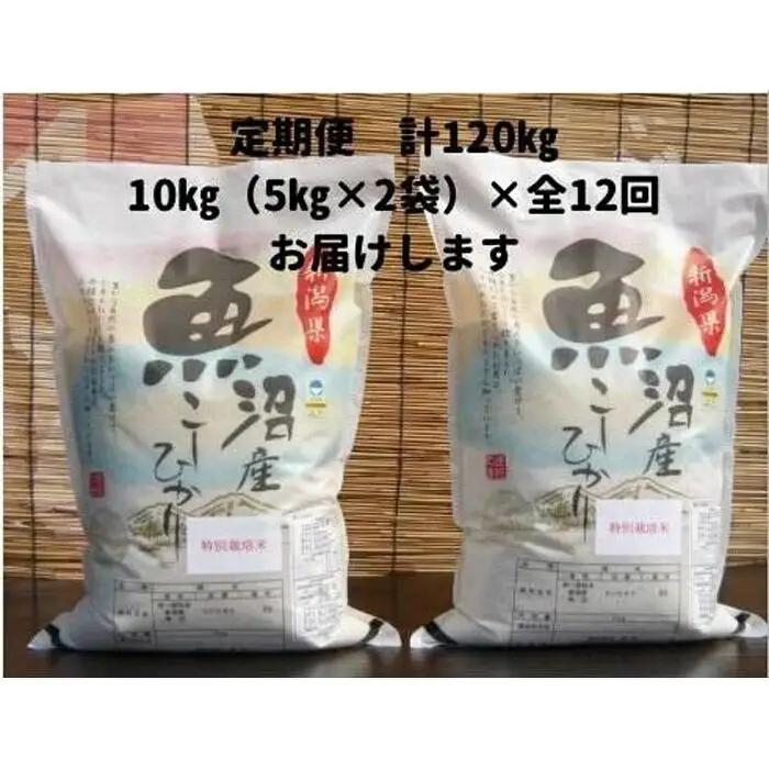 【令和７年】12か月定期便　がんこおやじが作った南魚沼産コシヒカリ白米１０kg（５kg×２袋） | 白米