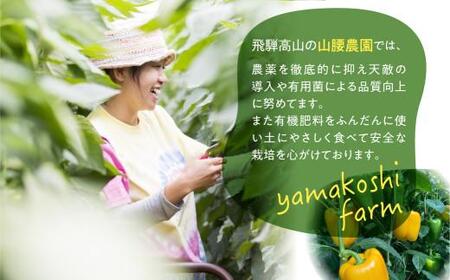 【夏~秋 お届け】訳あり 『 飛騨パプリカ 』 赤・黄 約6～10個 | 有機肥料 国産パプリカ 山腰農園 GD003
