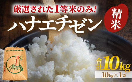 【先行予約】【令和8年産・新米】【一等米】ハナエチゼン 精米 10kg ×1袋《発送直前精米！》 ／ ブランド米 華越前 ご飯 お米 白米 新鮮 あわら市産 農家直送 大賞 受賞 新米 ※2026年9月上旬以降順次発送予定 [aw012-b022]