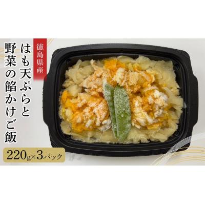 ふるさと納税 徳島市 はも天ぷらと野菜の餡かけご飯(220g×3)【BB014】
