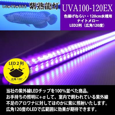 ふるさと納税 小牧市 紫外線100%LEDで紅龍・金龍の色彩を引出す水中ライト|UVA100-120EX[172C22] |  | 01