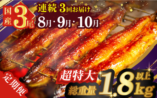 ≪定期便全3回≫8月・9月・10月お届け!!うなぎ蒲焼 超特大3尾 (総重量1.8kg以上) 鰻 魚 魚介 加工品 国産_T026-0092