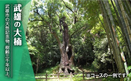 【貸切タクシーで武雄市観光！】ハイグレード仕様 タクシー 武雄市内 観光 （2時間）コース観光券 [UAT003] 観光券 券 チケット 利用券 旅行 トラベル 貸切 九州 佐賀 武雄市