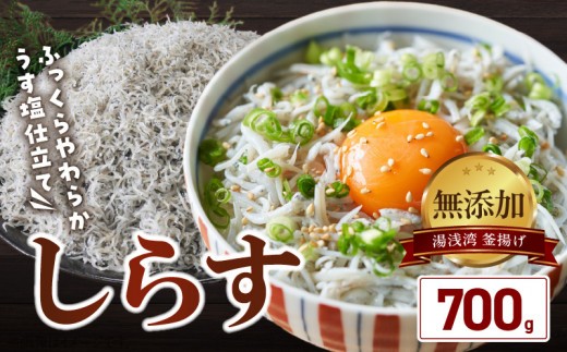 
                  湯浅湾の釜揚げしらす たっぷり700g 無添加 無着色 訳あり 家庭用 簡易包装 和歌山県_BD6031n
                