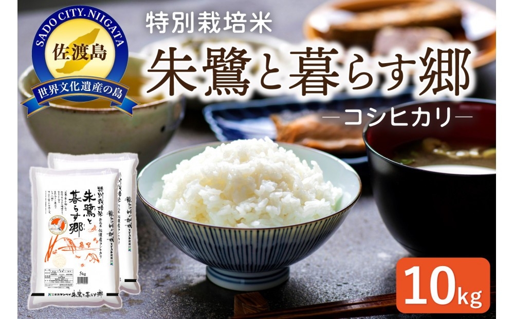 
                  【コシヒカリ 10kg】佐渡産コシヒカリ「朱鷺と暮らす郷」10kg（5kg×2袋）精米 佐渡市認証米 | 新潟県産コシヒカリ 新潟産コシヒカリ 佐渡島産コシヒカリ 新潟県産こしひかり 佐渡産こしひかり 朱鷺と暮らす郷づくり認証米 お米 米 こしひかり 白米 精米 ブランド米 おこめ コメ 10キロ 5キロ にいがた さど 新潟県 佐渡市
                