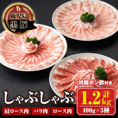 ふるさと納税 肝付町 南州農場　黒豚しゃぶしゃぶ詰合せ　B03001