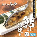 【ふるさと納税】鮎 塩焼き 焼き鮎 5匹 冷凍 香ばしい 鮎の塩焼き 5匹 冷凍