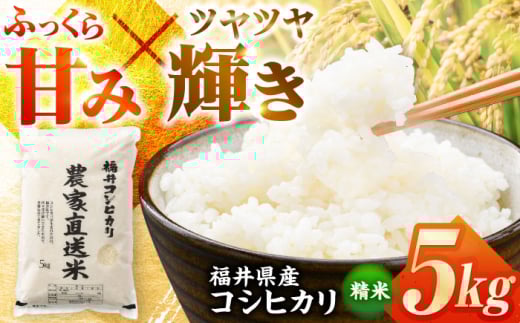 【 先行予約 /9月以降配送】【令和7年産】 福井県産こしひかり 精米 5kg（ビニール袋） 小浜市 / シマダ農園 [BFAV001]