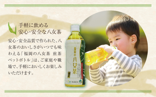 福岡の八女茶 煎茶ペットボトル(24本)定期便(毎月×6回)