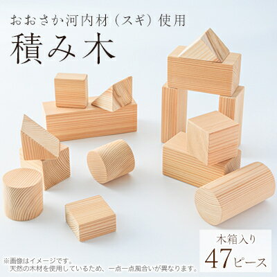 【ふるさと納税】おおさか河内材積み木(スギ)【1285538】