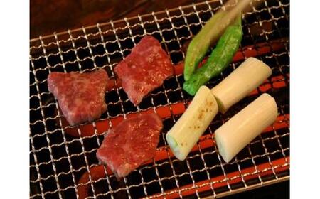 伊賀焼 あぶり名人 長角型（シーズヒーターコンロ）