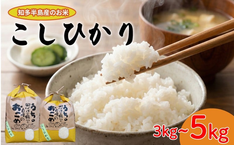 
                  【数量限定】 令和7年産 こしひかり 選べる 3kg 5kg お米 こめ ライス ご飯 愛知県産 2025年産 こしひかり お米 米 こめ ライス ご飯 こしひかり お米 米 こめ ライス ご飯 こしひかり お米 米 こめ ライス ご飯 こしひかり お米 こめ 米 ご飯 こしひかり お米 こめ 米 ご飯 おすすめ 人気 ふるさと納税お米 ふるさと納税米 ふるさと納税こめ 愛知県 南知多町
                