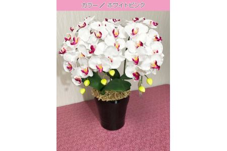 光触媒造花　胡蝶蘭　3本立
