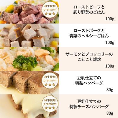 ふるさと納税 佐野市 【プレミアム・ドッグミールセットB】犬用ごはん 無添加 手作り Idea dog chef |  | 01