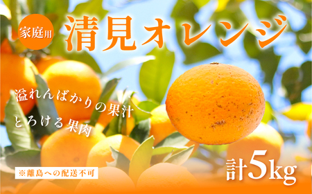 【先行予約】【家庭用】清見オレンジ計5kg ※離島への配送不可（2026年3月上旬頃より順次発送予定） IKTAC007