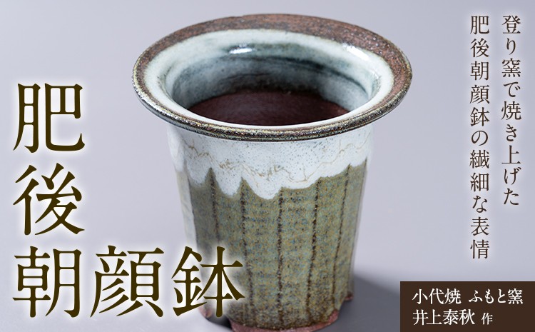 
                  小代焼 ふもと窯 肥後朝顔鉢 井上泰秋 作 一点物 食器 《30日以内に出荷予定(土日祝除く)》 国指定 伝統工芸品 民芸品 熊本県 荒尾市 器 陶器 焼き物
                