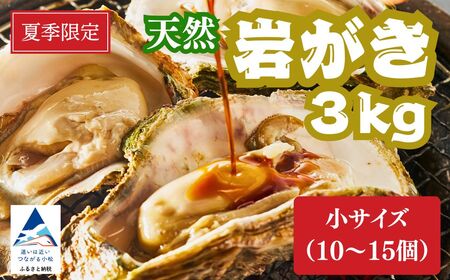 天然岩がき 小サイズ（10～15個） 3Kg 夏季限定！ 安宅産 かき 牡蠣 かき 牡蠣