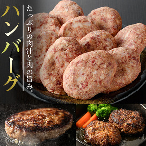高千穂牛 ハンバーグ(計10個・2個×5P)【MT005】【JA高千穂地区ミートセンター】