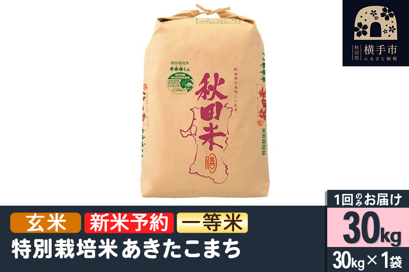 【令和6年産新米予約】【玄米】特別栽培米あきたこまち（一等米） 30kg