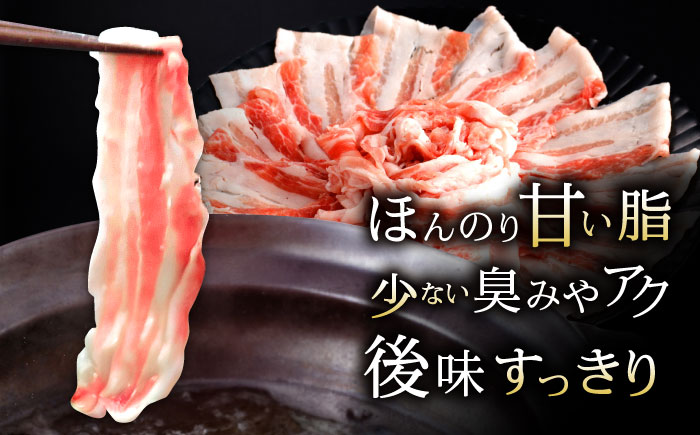 【12回定期便】諫美豚 バラ肉 しゃぶしゃぶ用 計9.6kg / 小分け 豚肉 ぶたにく バラ ばら 豚バラ しゃぶしゃぶ / 諫早市 / 株式会社土井農場 [AHAD105]