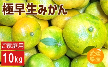 【2026年先行予約】極早生みかん 10kg ご家庭用 【9月下旬以降順次発送予定】 農園直送 数量限定 愛媛県産 人気 柑橘 伊予市｜B227
