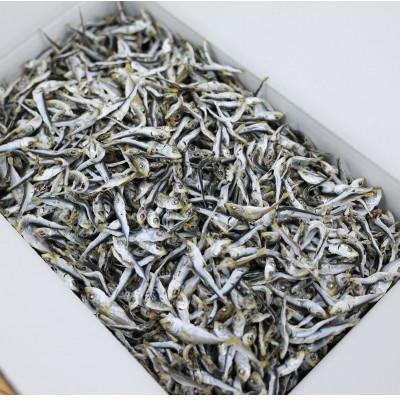 ふるさと納税 京都府 【京都府伊根町】じゃこ(混ぜり煮干し) 2kg 専用箱入り |  | 01