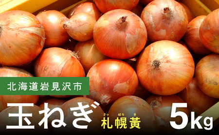 【先行予約】幻の玉ねぎ！札幌黄（さっぽろき）5kg [a168-010] たまねぎ 玉葱 タマネギ 国産 まとめ買い 業務用 贈り物 野菜 美味しい 送料無料 新鮮野菜 健康 和食 レストラン 国産野菜 採れたて 農家直送 産地直送 北海道 岩見沢市