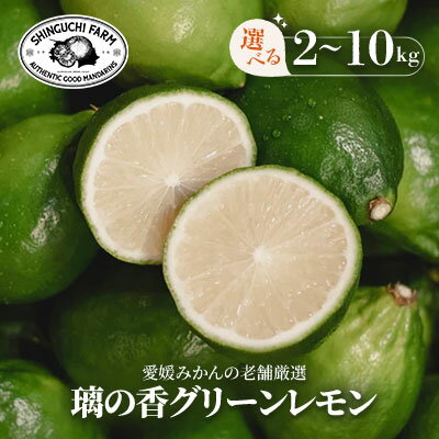【ふるさと納税】【皮が薄くて種がない】璃の香グリーンレモン 2kg / 3kg / 5kg / 10kg 愛媛県産_ レモン れもん 檸檬 グリーンレモン 愛媛県 国産 防腐剤不使用 ワックス不使用 果物 くだもの フルーツ かんきつ 柑橘 柑橘類 産直 産地直送 八幡浜市 【G1615798】