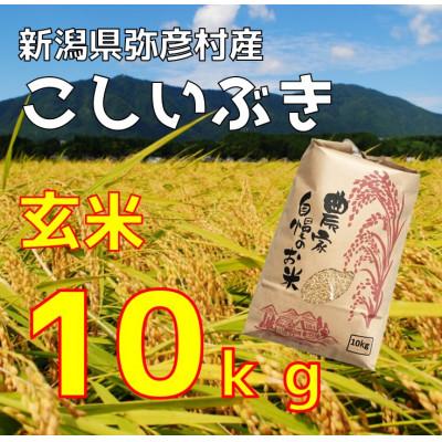 ふるさと納税 弥彦村 新潟県弥彦村石井農園　令和7年産 こしいぶき【玄米 10kg】