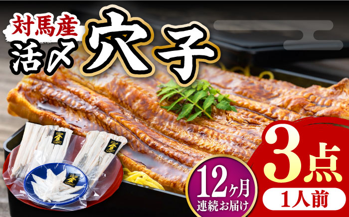 【全12回定期便】対馬産 活〆 穴子 ３点 セット A【THE・対馬株式会社】《対馬市》新鮮 あなご 刺身 天ぷら 海鮮 肉厚 簡単調理 一人前 [WAS008]