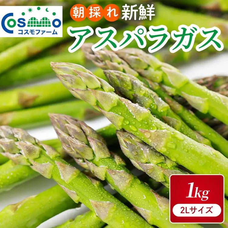 朝採り新鮮アスパラガス 1kg【2Lサイズ】 | 野菜 アスパラガス グリーンアスパラ 旬 とれたて 春野菜 春 朝採り 朝採れ とれたて 新鮮 みずみずしい サラダ 甘い お取り寄せ 産地直送 冷蔵 岐阜県 瑞穂市
