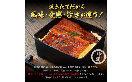 特選うなぎの蒲焼き６尾（特製タレ付き） 130g×6尾 ヤマシン