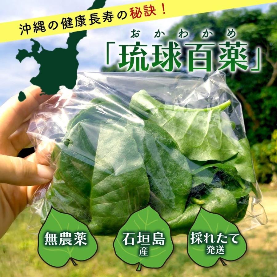 ふるさと納税 石垣市 <先行予約>2026年2月順次発送/沖縄の健康長寿の秘訣「琉球百薬(おかわかめ)」10袋 |  | 01