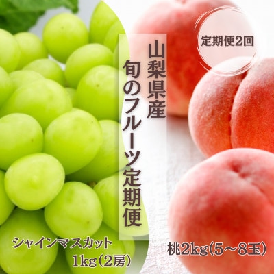 【発送月固定定期便】【2026年先行受付】旬のフルーツ定期便　桃2kg・シャインマスカット全2回【配送不可地域：離島・沖縄県】