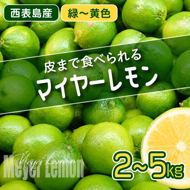 【ふるさと納税】＜選べる容量＞ 2026年発送 まろやか多汁マイヤーレモン （島レモン）約2〜5kg