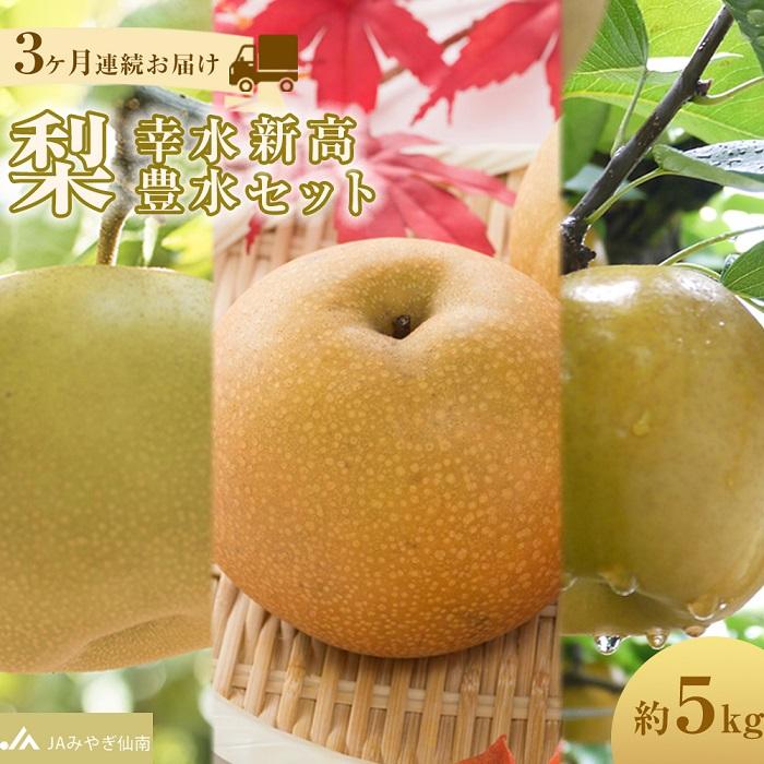 【ふるさと納税】梨 定期便 3ヶ月連続 幸水 豊水 新高 セット 約5kg JAみやぎ仙南 なし ナシ 和梨 こうすい ほうすい にいたか フルーツ 果物 くだもの 旬 旬の味覚 旬のフルーツ 旬の果物 甘さ 酸味 シャリ感 ジューシー 人気 おすすめ 送料無料 数量限定 季節限定 国産