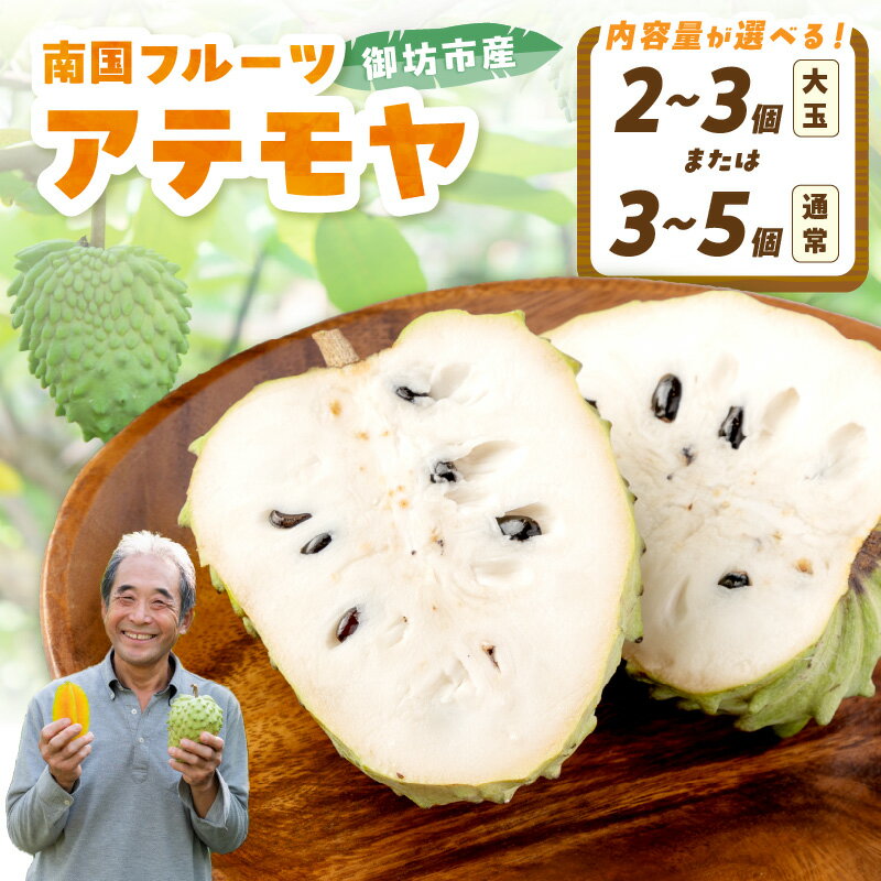 【ふるさと納税】『 ガイアの夜明け』で紹介されました！御坊市産　南国フルーツ　アテモヤ（1kg程度）2～3個入り　3～5個入り《先行受付》