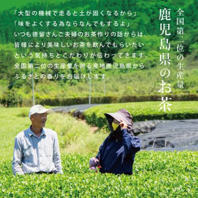 ふるさと納税 南さつま市 【ご家庭用】鹿児島県産緑茶 大浦茶 3本セット 計400g かごしま 日本茶 緑茶 茶葉 |  | 03