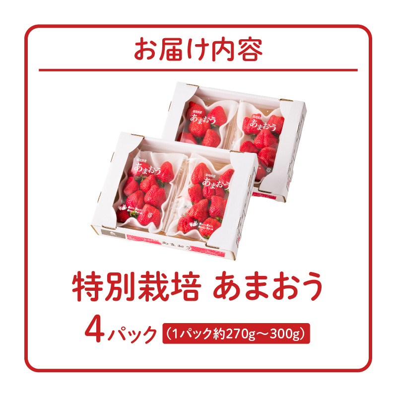 【2026年11月から順次発送】特別栽培あまおう 4パック ふくおかエコ農産物_いちご あまおう 約 270g ～ 300g 4パック 大粒 濃厚 甘い 特別栽培 安心 安全 冷蔵 果物 フルーツ ス