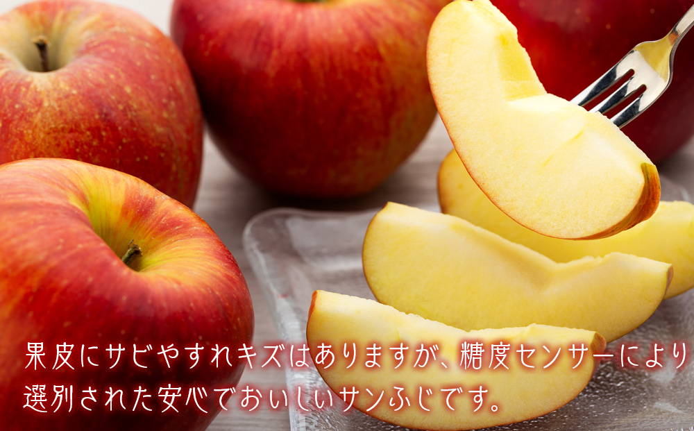 【訳あり】上伊那産サンふじ 約9kg　玉数おまかせ