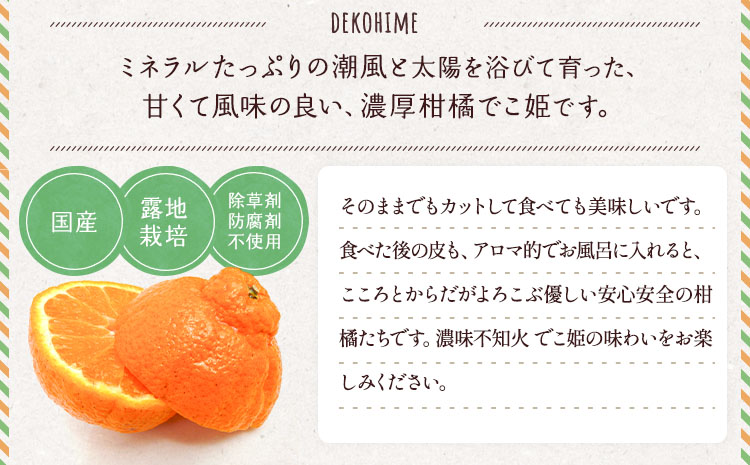 【先行受付】訳あり 不知火 でこ姫 約5kg（約18〜25玉）【吉田レモニー】【2025年3月上旬〜2025年5月下旬発送】しらぬい 柑橘 フルーツ 果物