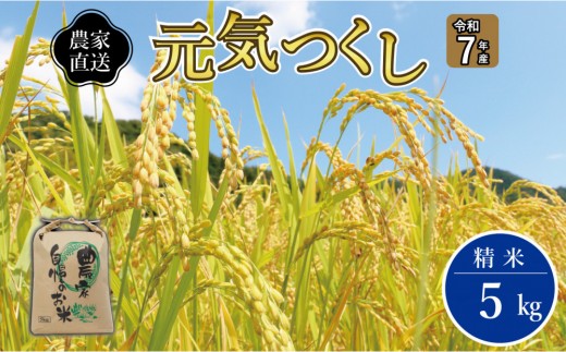 《令和7年産》福岡県大川市産 ブランド 米「 元気つくし 」 5kg