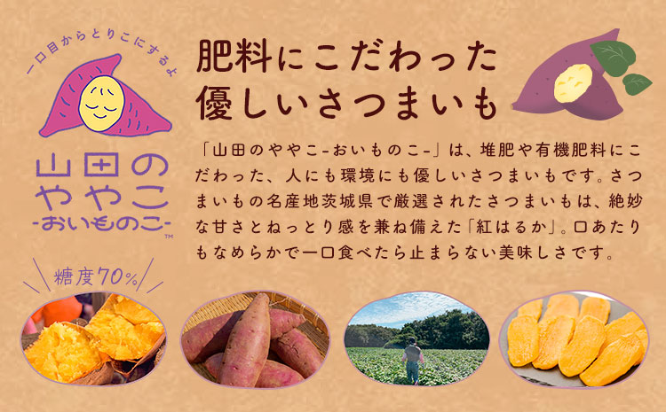 干し芋 山田のややこ おいものこ ほしいもセット 600g  《30日以内に出荷予定(土日祝除く)》株式会社ゆうゆう農園 スイーツ おやつ 芋 さつまいも 和菓子 お菓子 茨城県 河内町【配送不可地域