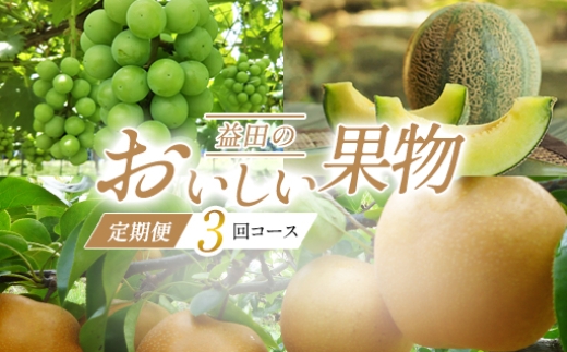 D-948 益田のおいしい果物  定期便(3回コース)