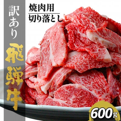 
                  ＜毎月定期便＞＜訳あり＞飛騨牛切り落し焼肉用600g全12回【4083364】
                