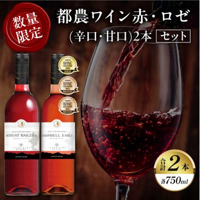 ふるさと納税 都農町 ＼年内発送!!/都農ワイン赤・ロゼ(辛口・甘口)2本セット 酒 飲料_T014-035-N